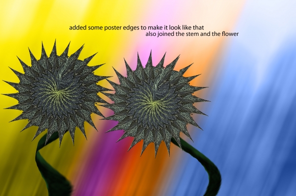 Creation of flowers: Step 5